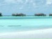 Міша Савляк фотография #41 (источник - https://vk.com/id75674043)