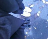 Анічка Кузьмич фотография #20 (источник - https://vk.com/id60109899)