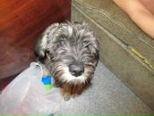 Фотография Николаева Игоря