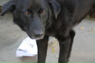 Фотография Меретукова Тимура