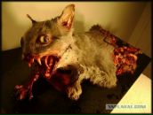 Фотография Нестерова Вовы