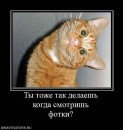 Дмитрий Винник фотография #29 (источник - https://vk.com/id26933235)