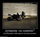 Фотография Быка Романа