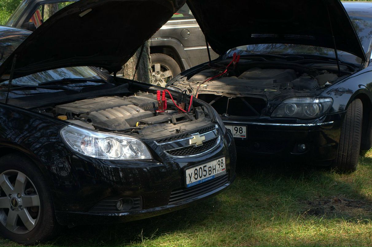 Дмитрий Рассошенко фотография #16