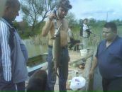 Фотография Остапченко Владимира