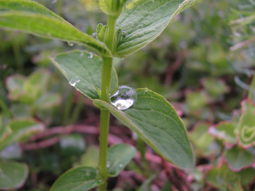 Евгений Иванов фотография #39