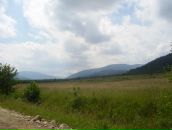 Віктор Гутак фотография #6 (источник - https://vk.com/id119080217)