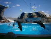 Аліна Гевко фотография #36 (источник - https://vk.com/id132586025)