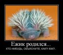 Фотография Маловой-Бочкаревой Ольги