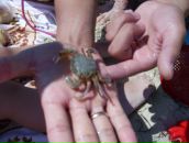 Александр Ріпка фотография #28 (источник - https://vk.com/id37696324)