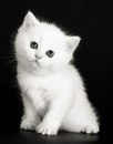 Іра Пеленська фотография #45 (источник - https://vk.com/id143668421)
