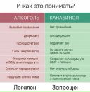 Чев Челиус фотография #15 (источник - https://vk.com/id1415865)