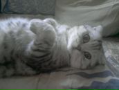 Фотография Новосёлова Александра