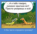 Тея ===== фотография #10 (источник - https://vk.com/id122771035)