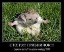 Богдан Шумік фотография #23 (источник - https://vk.com/id145575881)