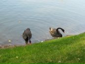 Ігор Слабоус фотография #10 (источник - https://vk.com/id20169653)