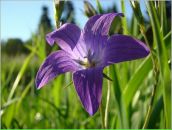 Тетянка Піцань фотография #20 (источник - https://vk.com/id88773395)