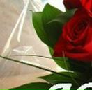 Юля Колісник фотография #9 (источник - https://vk.com/id105181184)