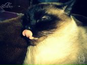 Фотография Рябовой Наташи