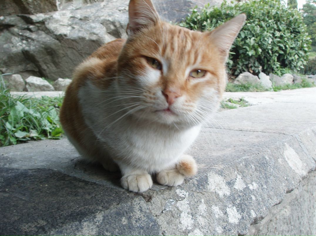 Сергей Березин фотография #13