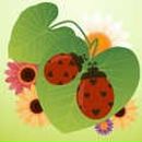 Наталья Никоненко фотография #50 (источник - https://vk.com/id30037829)