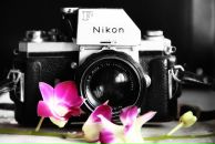 Фотография Асаульченко Даши