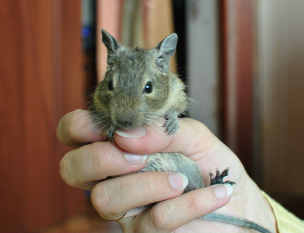 Андрей Ремнёв фотография #25