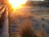 Фотография Киселёва Кирилла