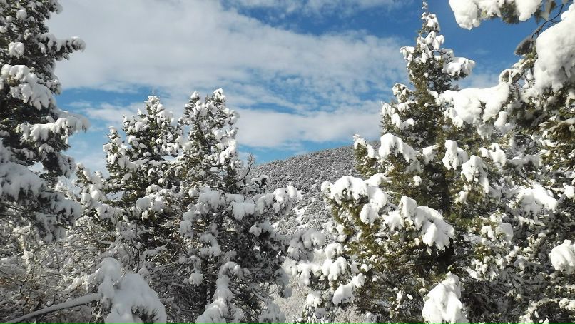 Влад Бугаревский фотография #9