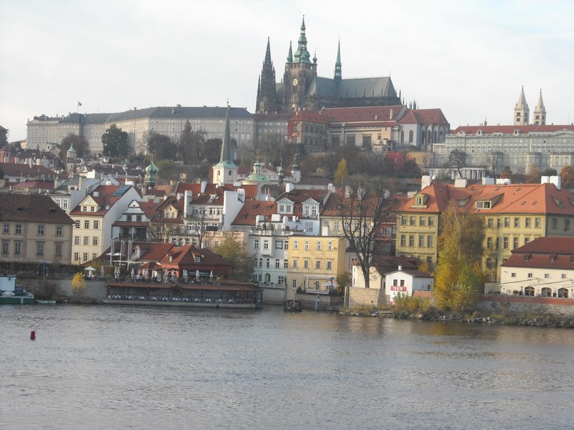 Ярослав (-) фотография #49