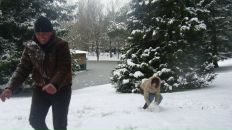 Олександр Іщенко фотография #25 (источник - https://vk.com/id46004524)