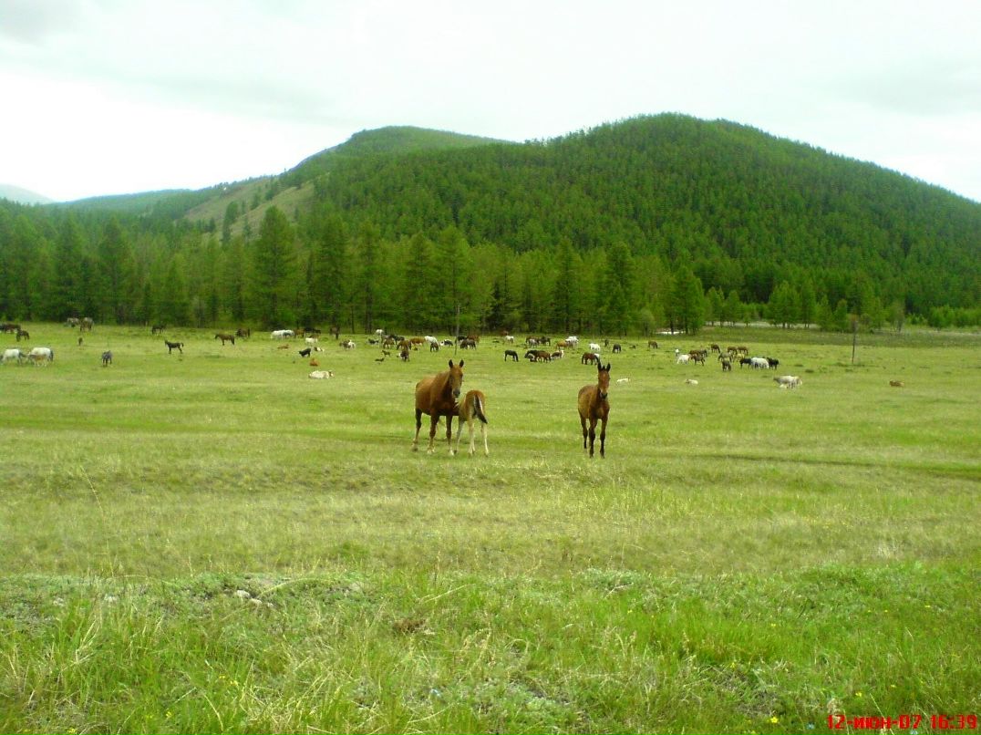 Ирина Bs фотография #5