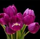 Юлюся Сем-Янів фотография #48 (источник - https://vk.com/id166936484)