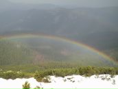 Вова Мошківський фотография #29 (источник - https://vk.com/id15942206)