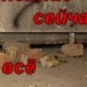 Крістіна Манюк фотография #41 (источник - https://vk.com/id155632628)