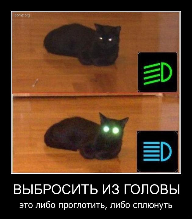 Игорь Руськин фотография #23