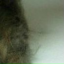 Інна Коногорова фотография #24 (источник - https://vk.com/id29727475)