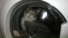 Фотография Ероховой Марии