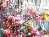 Фотография Янышевой Ляйсан