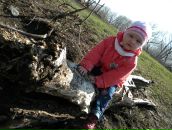 Фотография Каракина Владимира