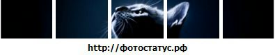 Фотография Наташа Лебедева