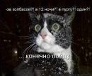 Світлана Боднар фотография #38 (источник - https://vk.com/id136286336)