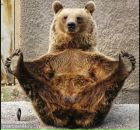 Фотография Чудова Михаила