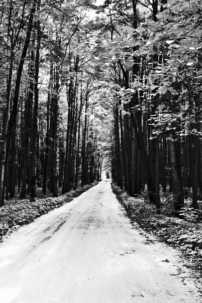 №6, Серёжа Лях, 15.4 №6, Серёжа Лях, 15.4