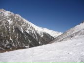 Роман Алексеев фотография #41 (источник - https://vk.com/id1041072)