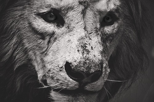 №2, Никита Селиванов №2, Никита Селиванов