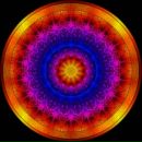 Фотография Меркуловой Ольги