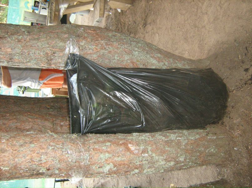 Николай Ефременко фотография #50