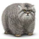 Фотография Шорохова Алексея