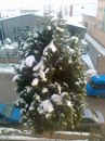 Johnbill Salvadoore фотография #42 (источник - https://vk.com/id161669608)